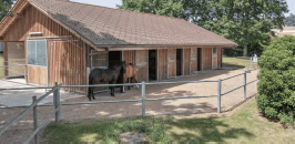 Écuries en bois avec chevaux dans un enclos