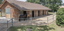 Écuries en bois avec chevaux dans un enclos